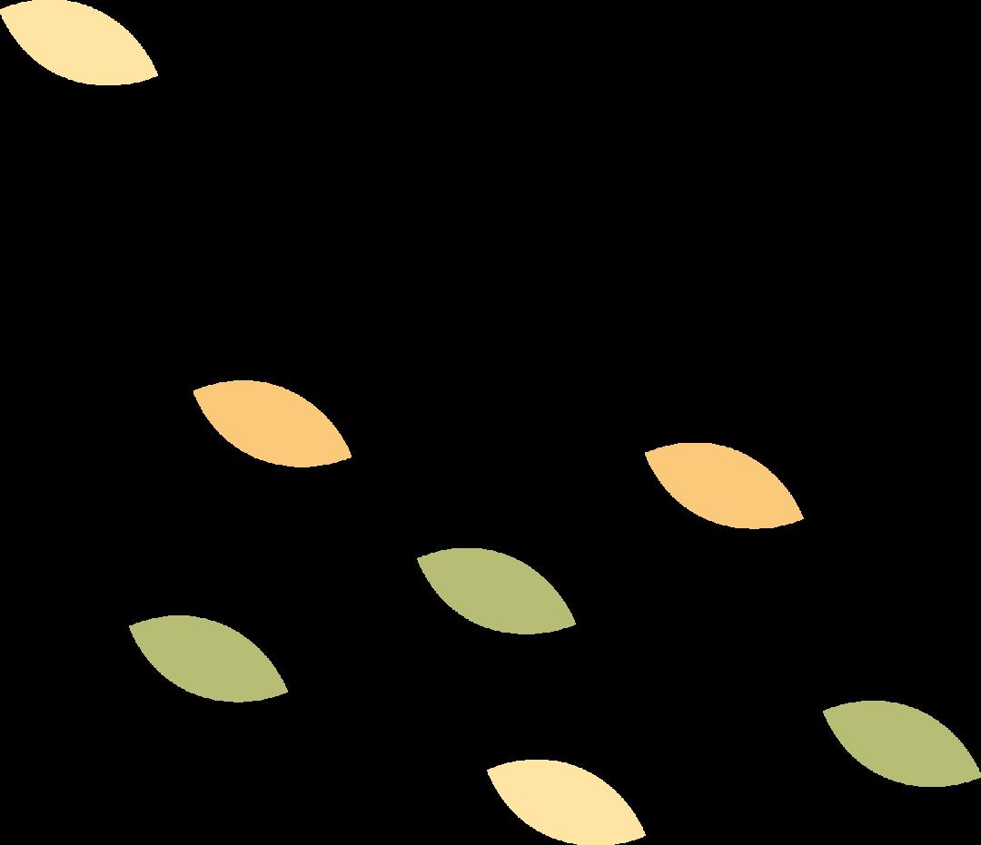 DƬ